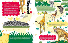 Невероятные странствия животных. Навигация и миграция по воздуху, суше и морю - Фото 2