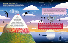 Невероятные странствия животных. Навигация и миграция по воздуху, суше и морю - Фото 4