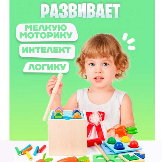 Центр логический 5 в 1 «Играем и развиваемся»