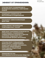 Экстракт растительный «Исландский мох» - Фото 2