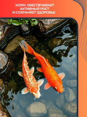 Гранулы плавающие для кои-карпов «Гран-Кои» - Фото 5