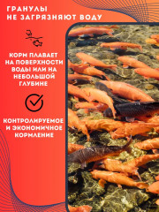 Гранулы плавающие для кои-карпов «Гран-Кои» - Фото 6