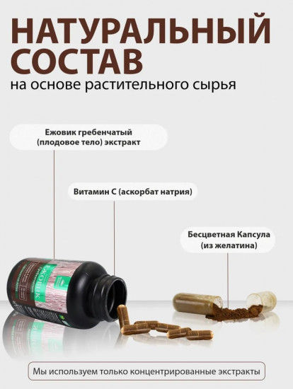БАД «Ежовик гребенчатый»