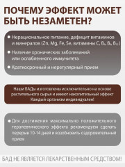 БАД «Ежовик гребенчатый» - Фото 4