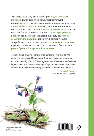 Жужжание жука. Полевые и не очень дневники орнитолога