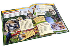 Животные - Фото 2