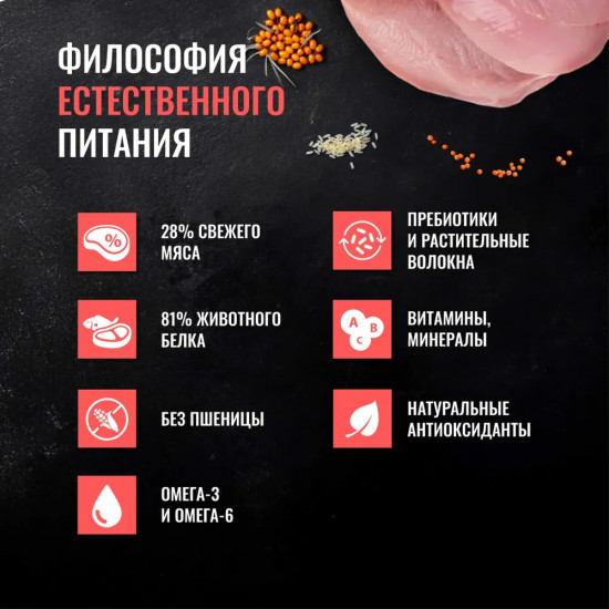 Корм для взрослых собак малых пород сухой с мясом индейки