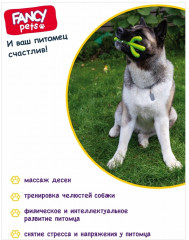 Игрушка для собак «Кактус» - Фото 2