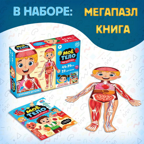 Набор обучающий «Моё тело»