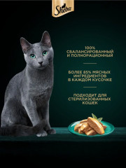 Корм для кошек «Нежный паштет в желе с курицей» - Фото 4