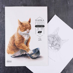 Папка с бумагой для рисования - Фото 1