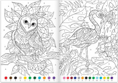 Раскраска по номерам «Удивительный мир» - Фото 1