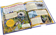 Птицы - Фото 1