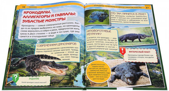 Рептилии. Энциклопедия