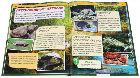 Рептилии. Энциклопедия