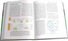 Основы биохимии Ленинджера. Комплект из 3 книг - Фото 3