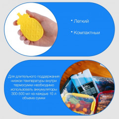 Аккумулятор холода для термосумки - Фото 1