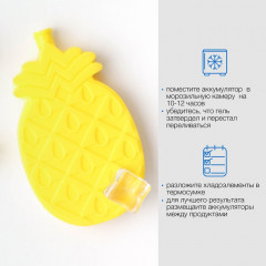 Аккумулятор холода для термосумки - Фото 3