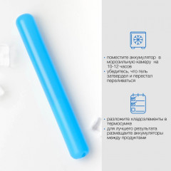 Аккумулятор холода для термосумки - Фото 3