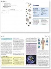 Основы вирусологии. Комплект из 2 книг - Фото 4