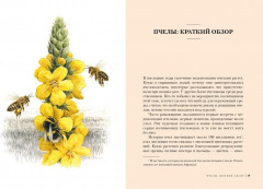 Наедине с природой. Комплект из 3 книг и шоппера - Фото 4