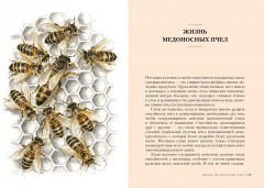 Наедине с природой. Комплект из 3 книг и шоппера - Фото 6