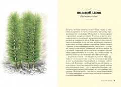 Наедине с природой. Комплект из 3 книг и шоппера - Фото 8