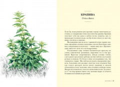 Наедине с природой. Комплект из 3 книг и шоппера - Фото 9