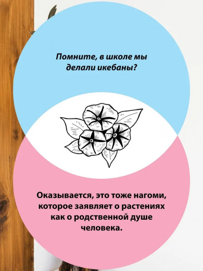Глоток счастья по-японски. Комплект из 3 книг и шоппера