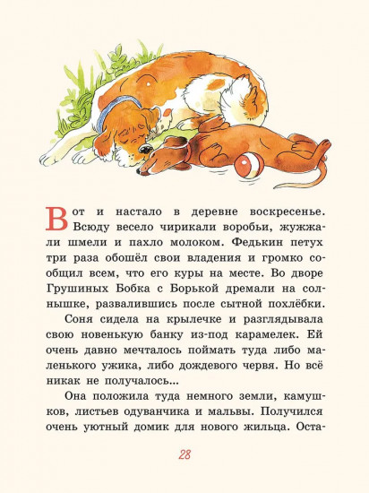 Большие и маленькие приключения с Хвостиком. Книга 3