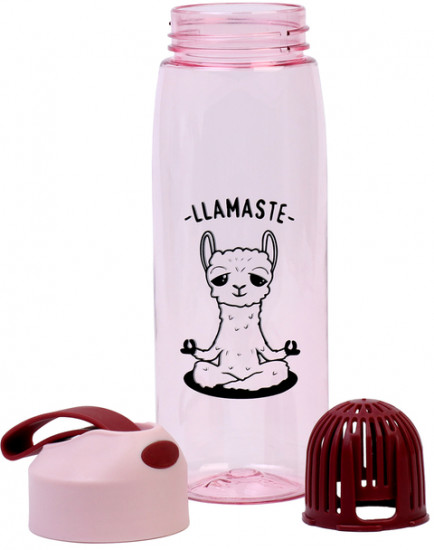 Бутылка для воды «Llamaste»