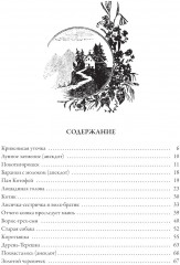 Малороссийские сказки - Фото 10