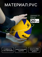 Мяч волейбольный - Фото 1