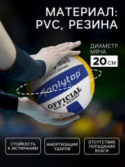 Мяч волейбольный - Фото 1