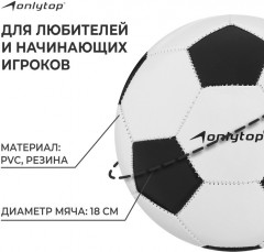 Мяч футбольный - Фото 1