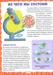 Анатомия для детей. Анатомия человека. Комплект из 2 книг - Фото 6