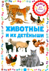 Животные и их детёныши. Животные. Как говорят, что едят и где живут. Комплект из 2 книг - Фото 2