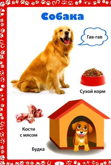 Животные и их детёныши. Животные. Как говорят, что едят и где живут. Комплект из 2 книг