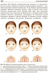 Анатомия человека. В 2 томах. Том 2 - Фото 12