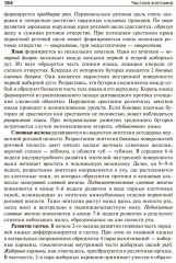 Анатомия человека. В 2 томах. Том 2 - Фото 14