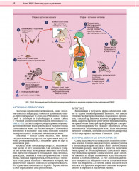 Дерматология по Фицпатрику. Том 4 - Фото 11