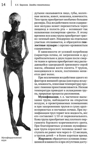 Загадки танатологии