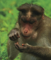 Великая экономика. Великая математика. Комплект из 2 книг - Фото 4