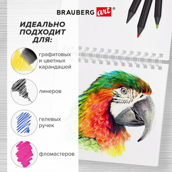 Скетчбук