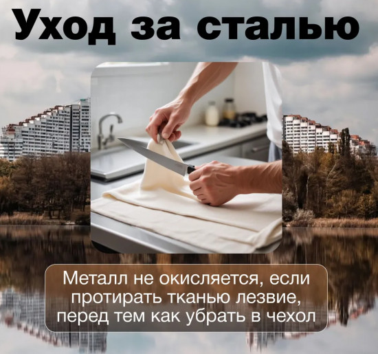 Нож складной «Serene»