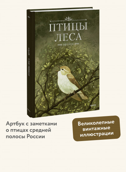 Птицы леса. Артбук