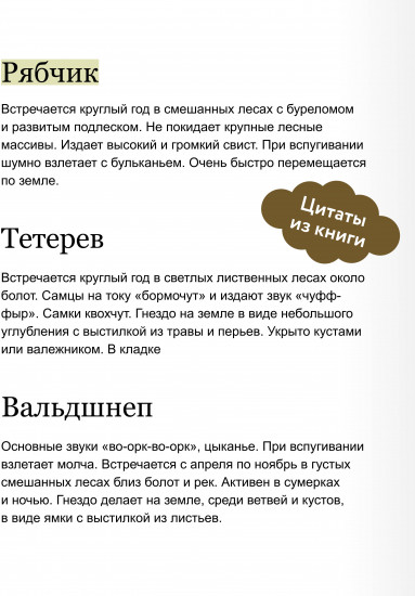 Птицы леса. Артбук