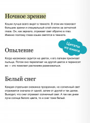 Что, где и почему? Самые интересные детские вопросы о мире вокруг - Фото 3