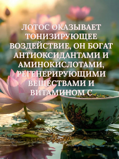 Чай зеленый с лотосом