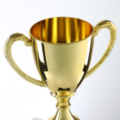 Кубок - Фото 4